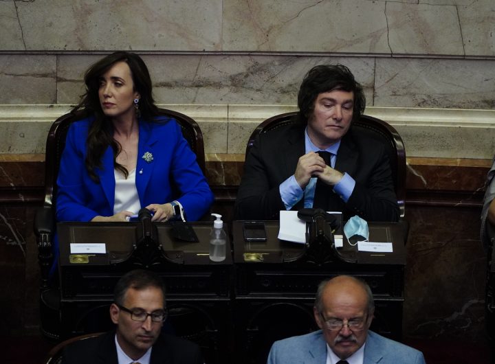 Milei mandó los trolls a atacar a Villarruel