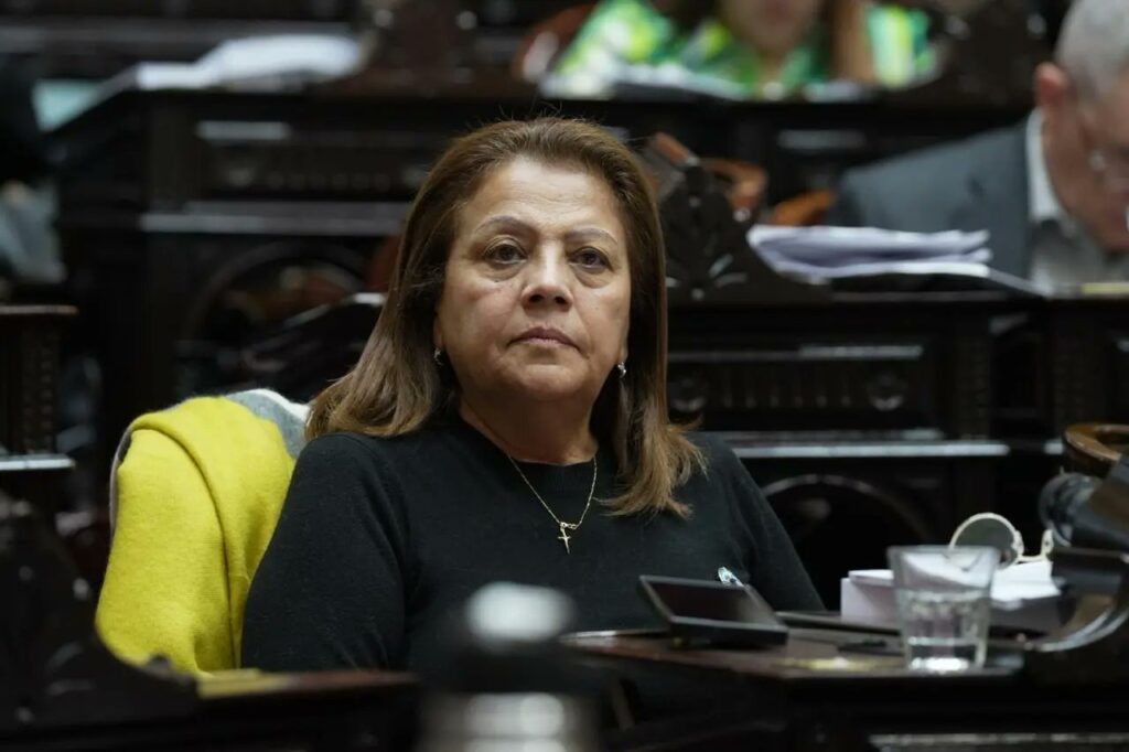 Beba Soria , Diputada Nacional